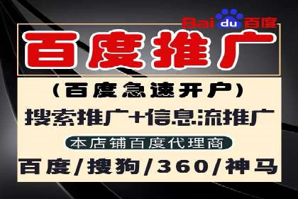 网络推广秘籍：竞价排名成功案例集锦
